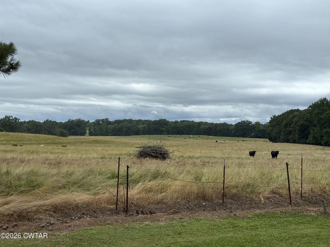 Land in Finger, Tennessee, United States 2 - 18410283