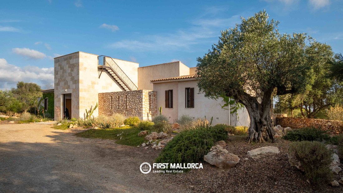 Finca in ses Salines, Balearic Islands, Spain 4 - 18404966