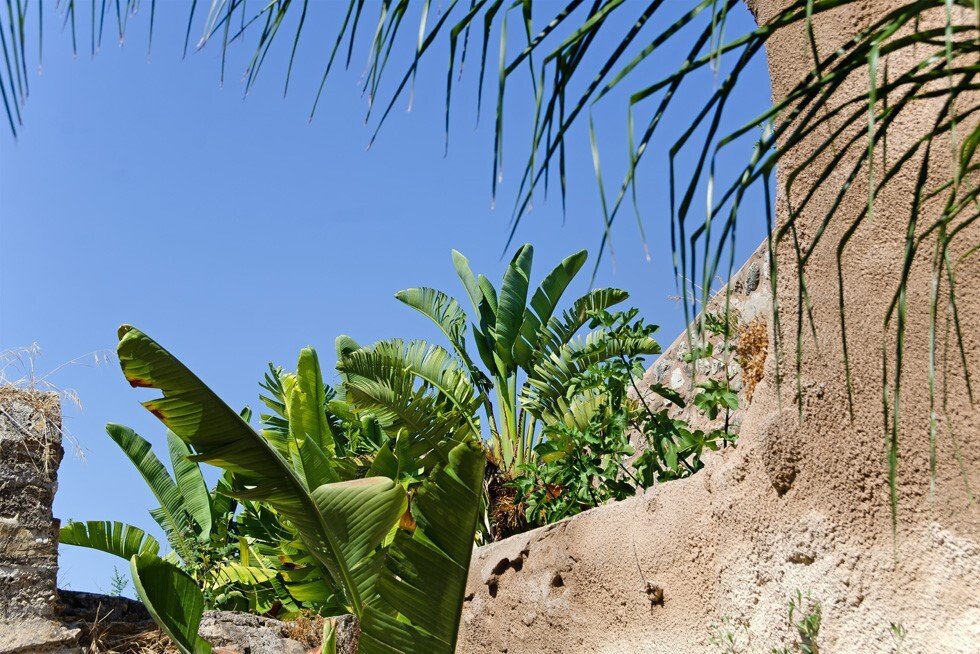 House in Binissalem, Balearic Islands, Spain 2 - 16249274