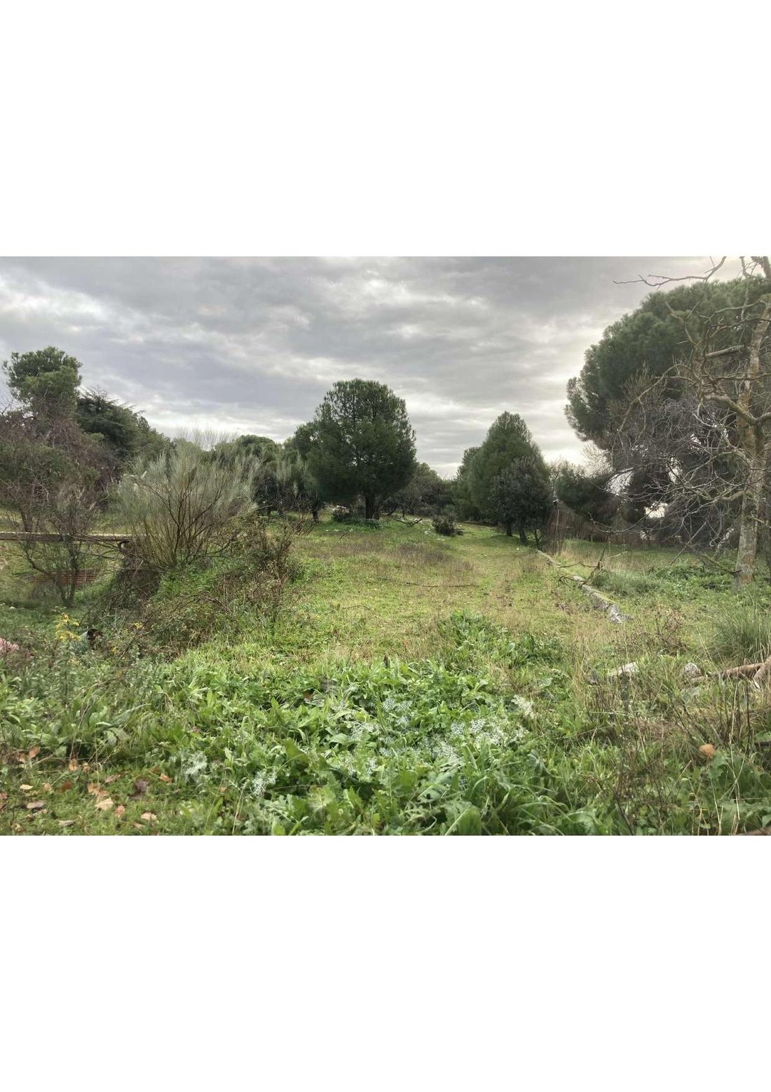 Land in Majadahonda, Comunidad de Madrid, Spain 5 - 18417487