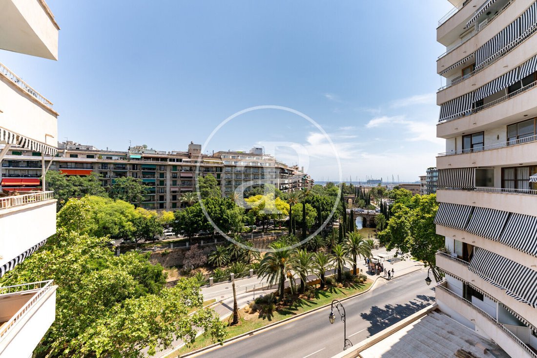 Apartment in Palma, Balearic Islands, Spain 2 - 18044250