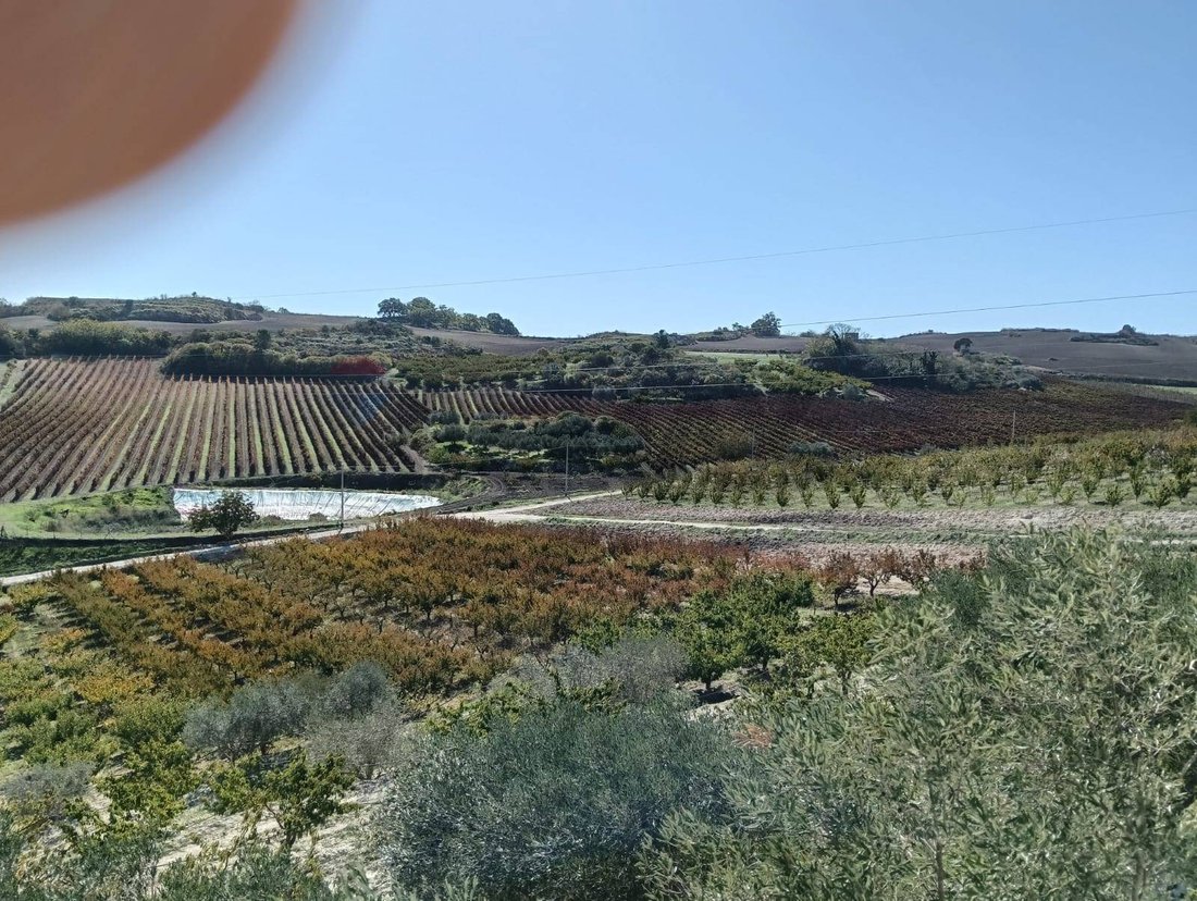 Terrain à Caltagirone, Sicile, Italie 1 - 18415606