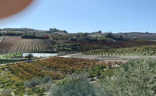 Land in Caltagirone, Sicily, Italy 1