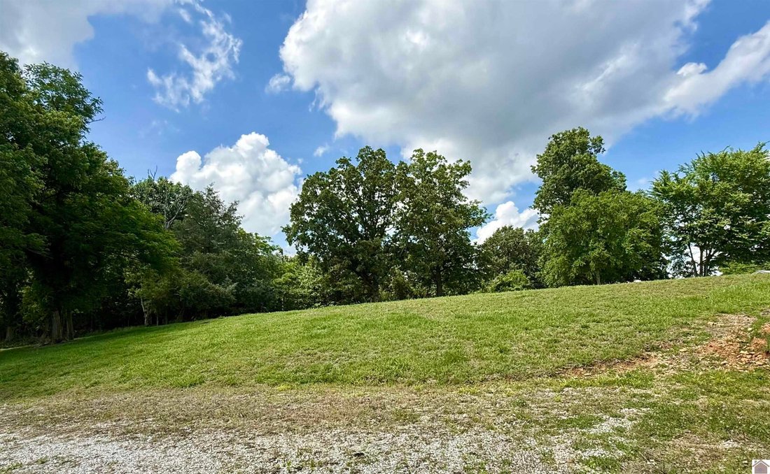 House in Eddyville, Kentucky, United States 2 - 18407335