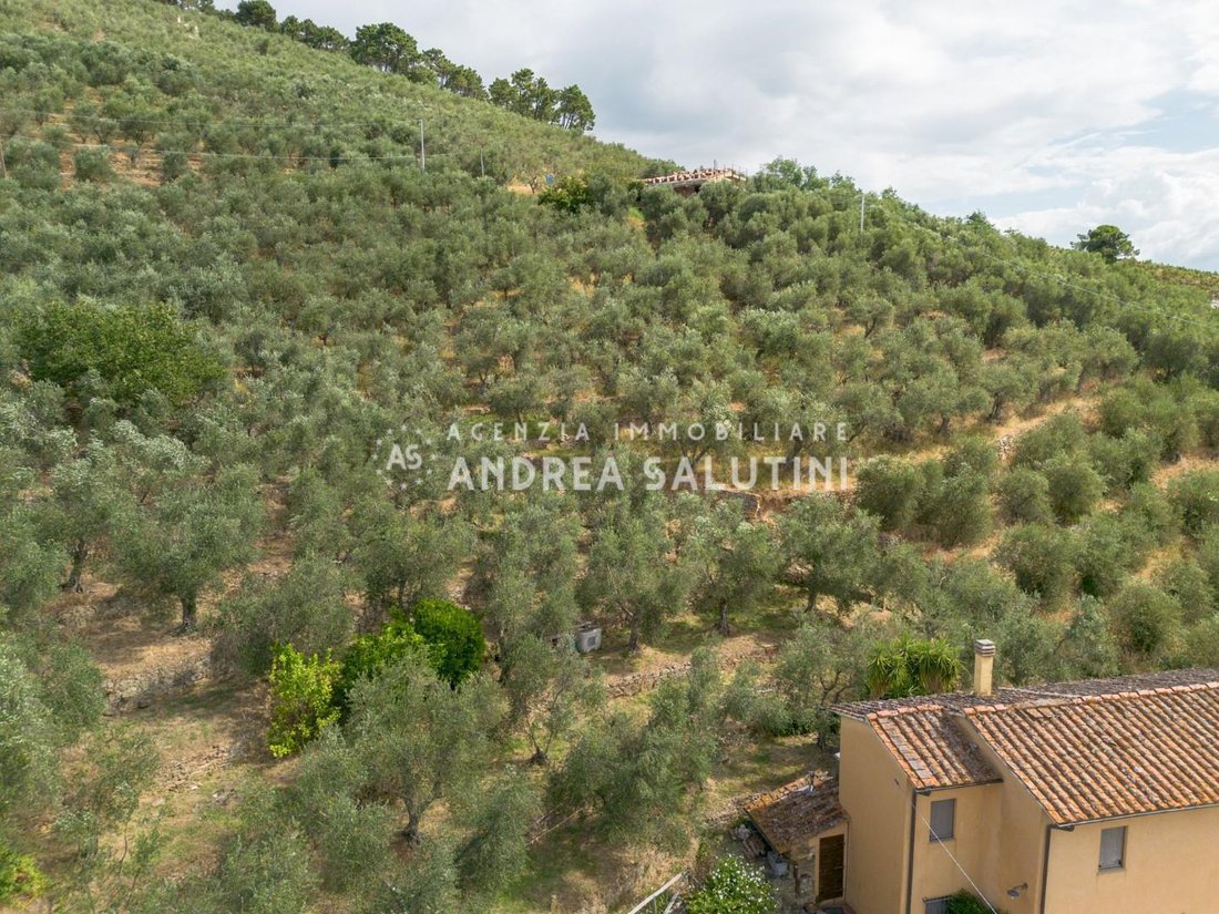 Vicopisano, Tuscany, Italy 5 - 18414791