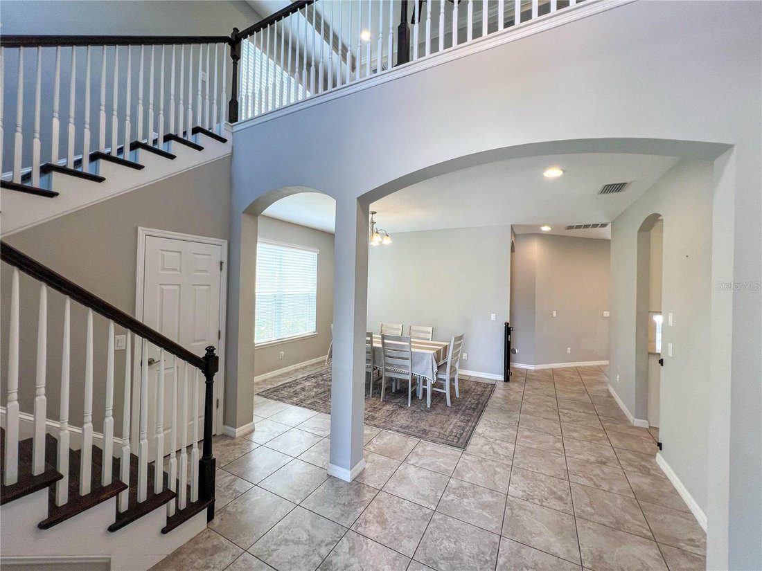 House in Tampa, Florida, United States 5 - 18403344