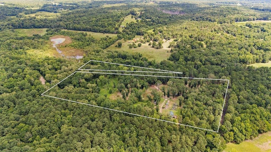 Farm Ranch in Scroggins, Texas, United States 2 - 18408868