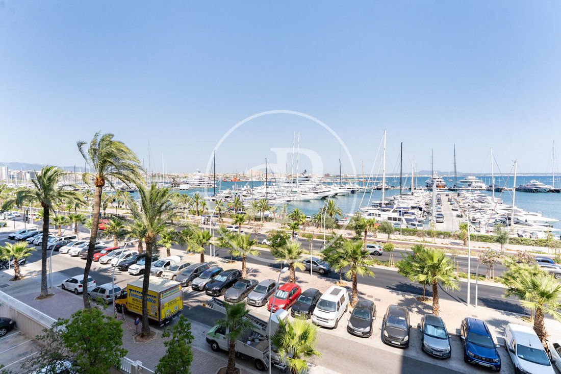 Apartment in Palma, Balearic Islands, Spain 5 - 18358834