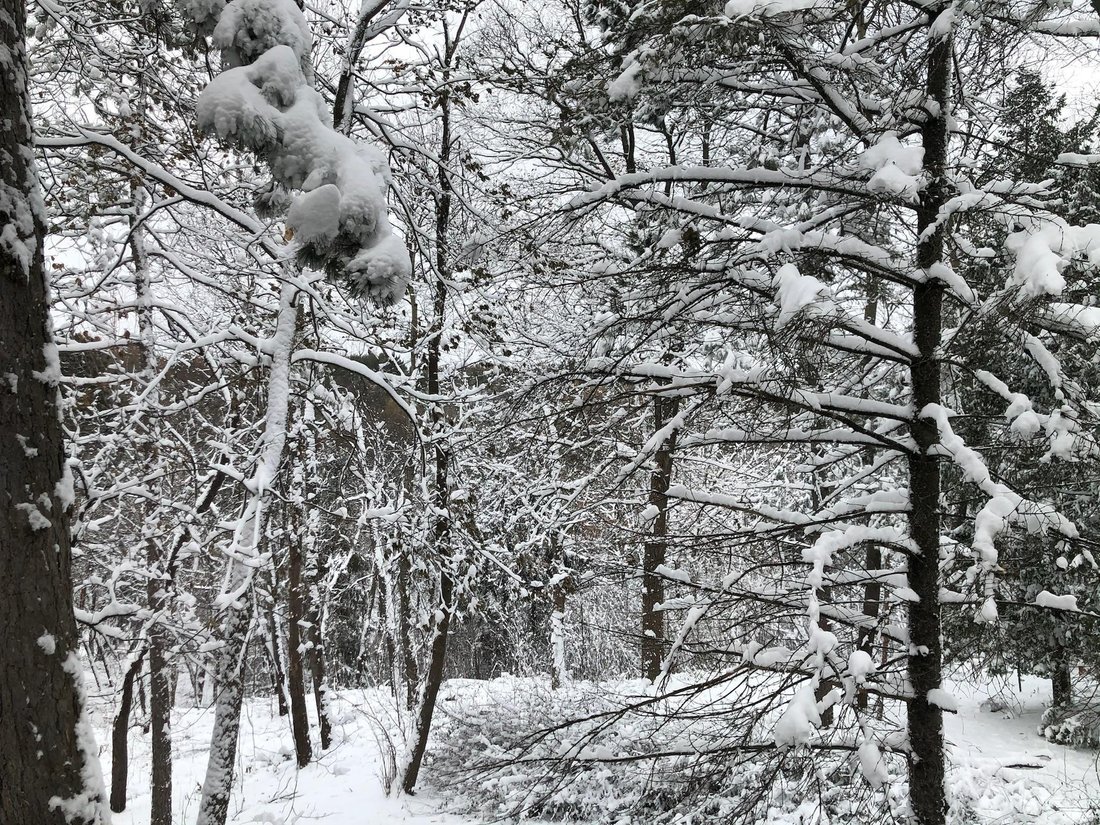 House in Minnetonka, Minnesota, United States 4 - 18416671