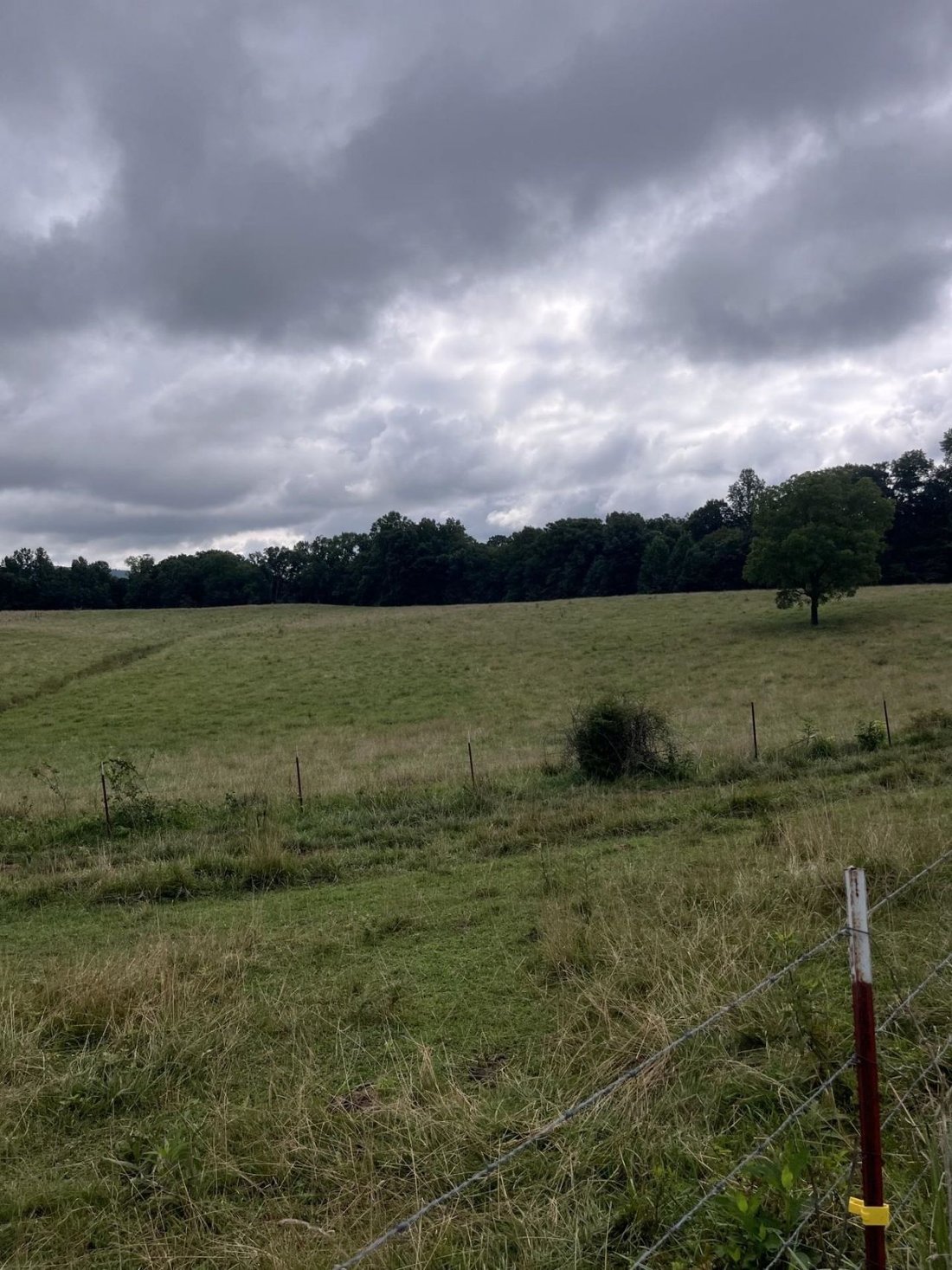 Land in Monroe, Tennessee, United States 5 - 18410505