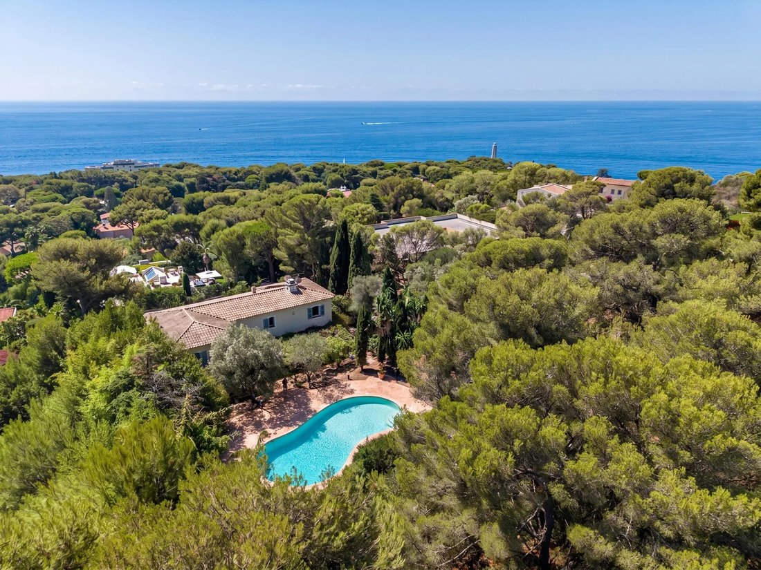 Villa in Saint-Jean-Cap-Ferrat, Provence-Alpes-Côte d'Azur, France 3 - 18415212