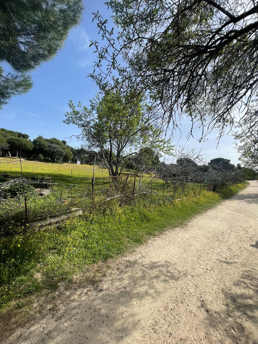 Land in Majadahonda, Comunidad de Madrid, Spain 2 - 18417487