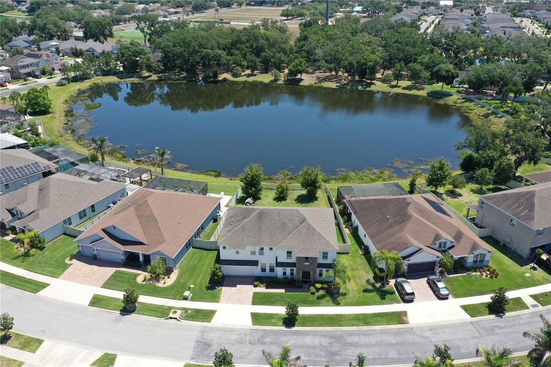 House in Riverview, Florida, United States 1 - 18404085