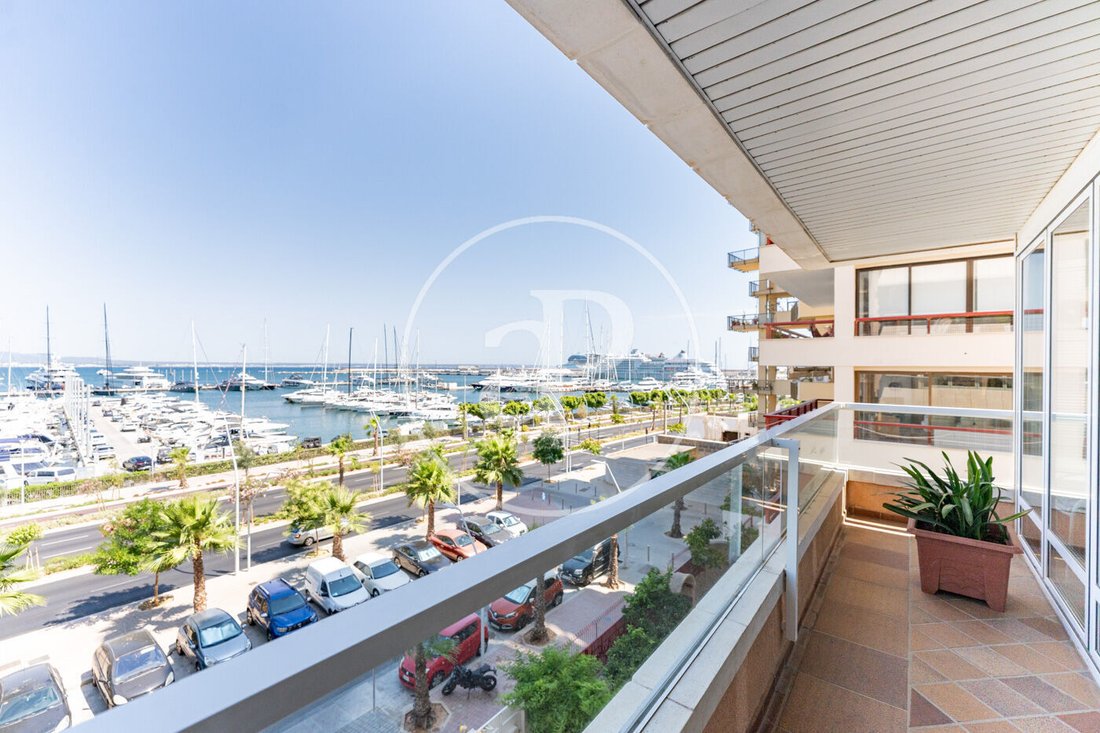Apartment in Palma, Balearic Islands, Spain 4 - 18358834