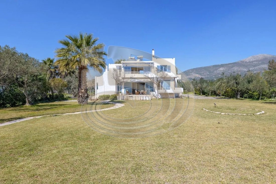 Villa in Eretria, Thessaly and Central Greece, Greece 5 - 18416986