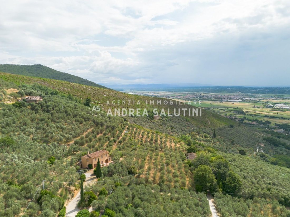 Vicopisano, Tuscany, Italy 4 - 18414791