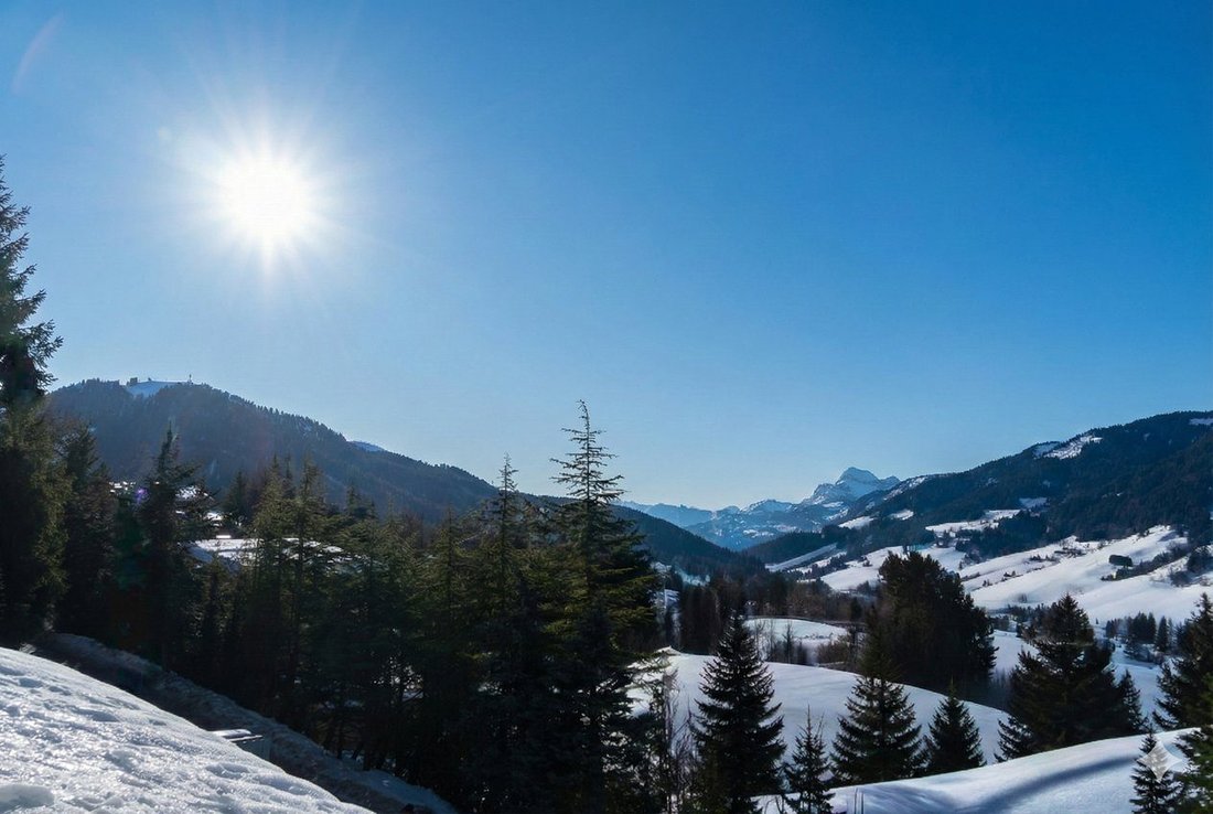 Apartment in Megève, Auvergne-Rhône-Alpes, France 1 - 18414906
