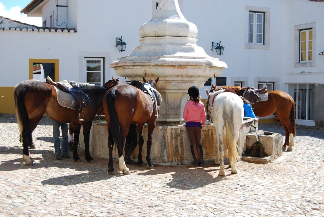 Country House in Caia, Sao Pedro e Alcacova, Portalegre District, Portugal 5 - 18317888