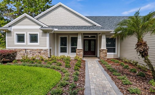 House in Lutz, Florida, United States 1