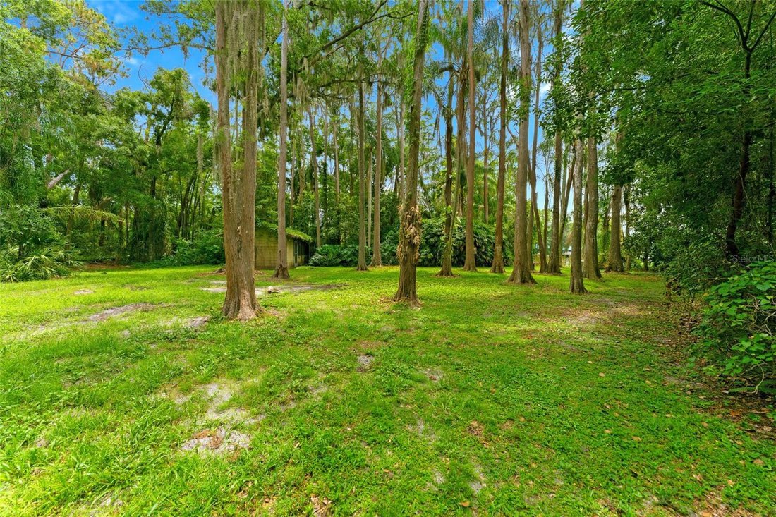 House in Odessa, Florida, United States 5 - 18407822