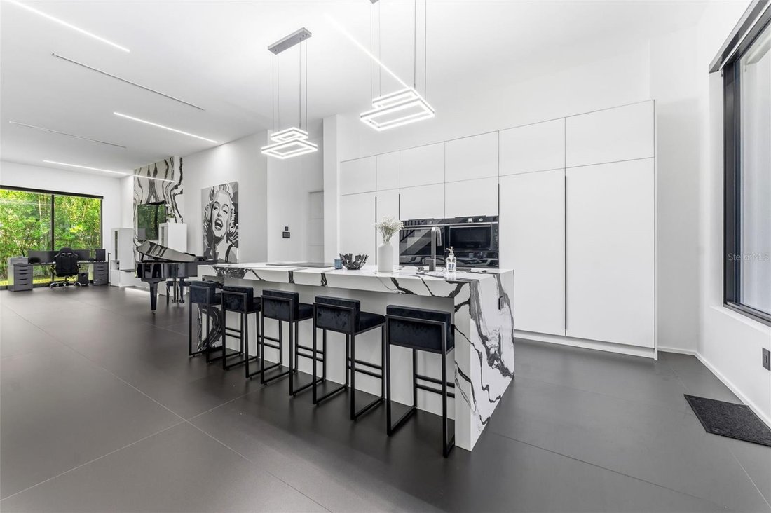 House in Odessa, Florida, United States 5 - 18215700