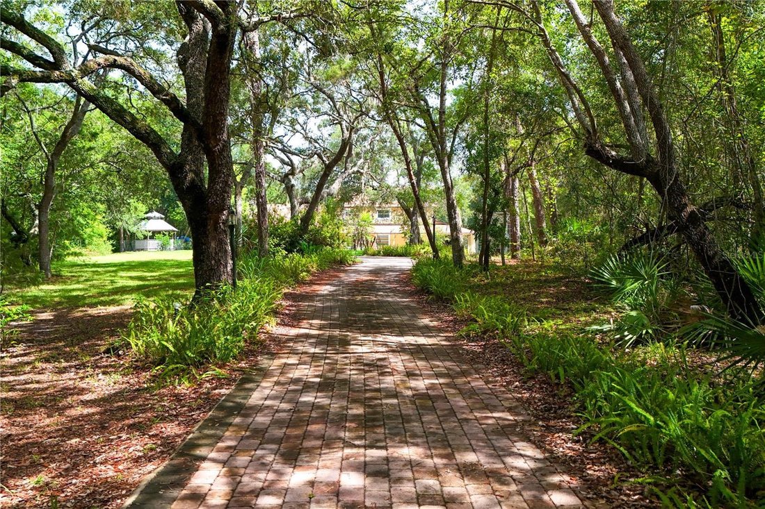House in Winter Springs, Florida, United States 5 - 18407853