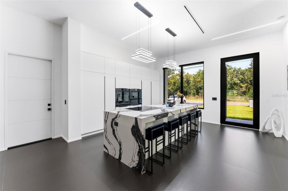 House in Odessa, Florida, United States 4 - 18215700