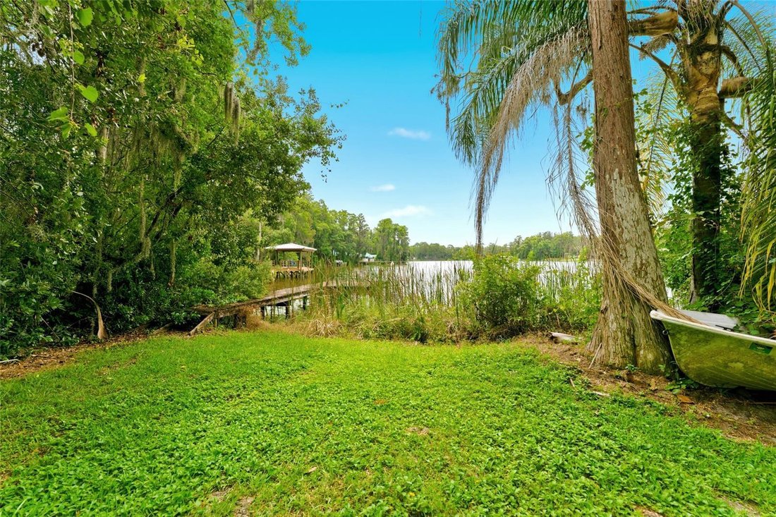 House in Odessa, Florida, United States 4 - 18407822