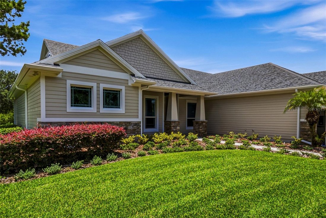 House in Lutz, Florida, United States 3 - 18407831