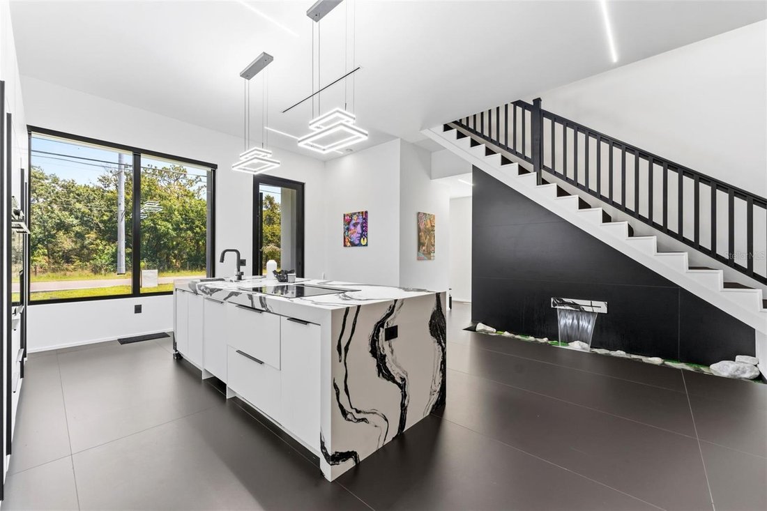 House in Odessa, Florida, United States 3 - 18215700