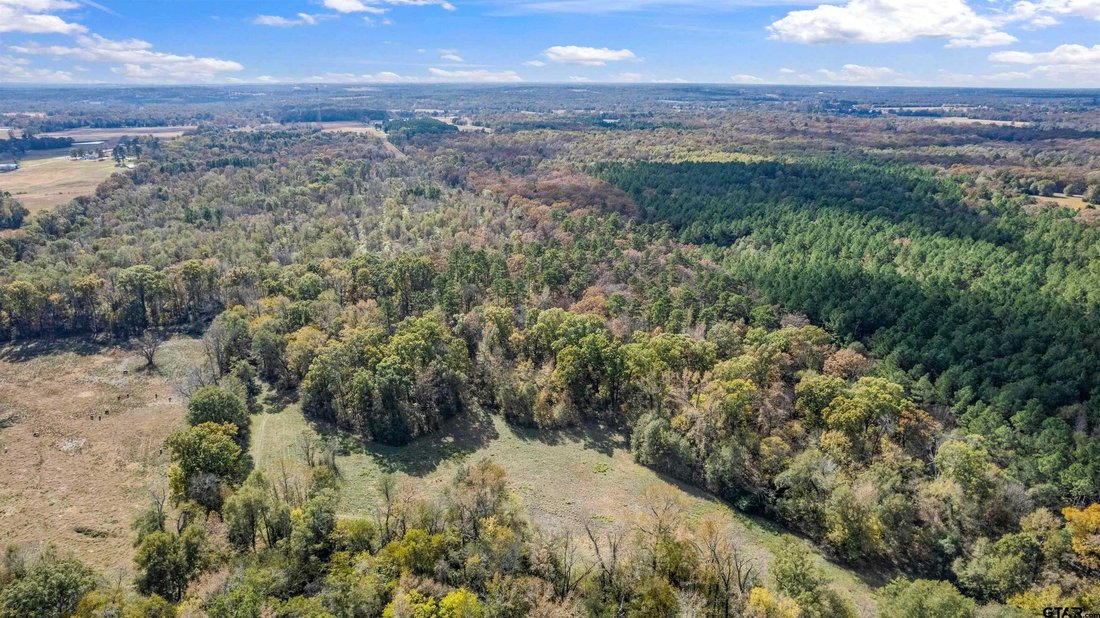 Land in Winnsboro, Texas, United States 5 - 18410539