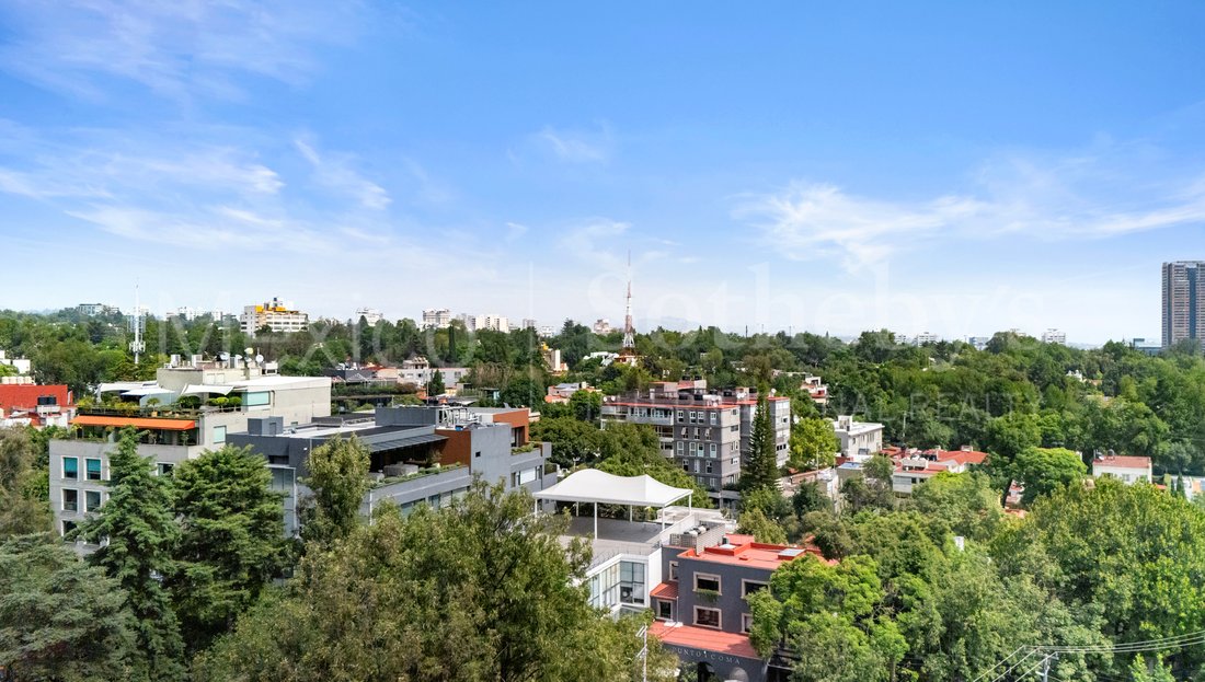 Land in Mexico City, Mexico 4 - 18411803