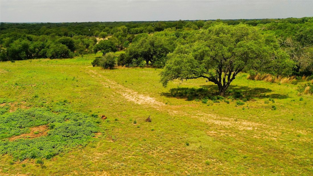 Azienda agricola a Bertram, Texas, Stati Uniti 1 - 18413582