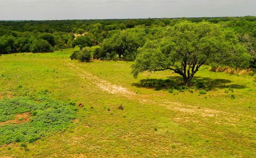 Azienda agricola a Bertram, Texas, Stati Uniti 1