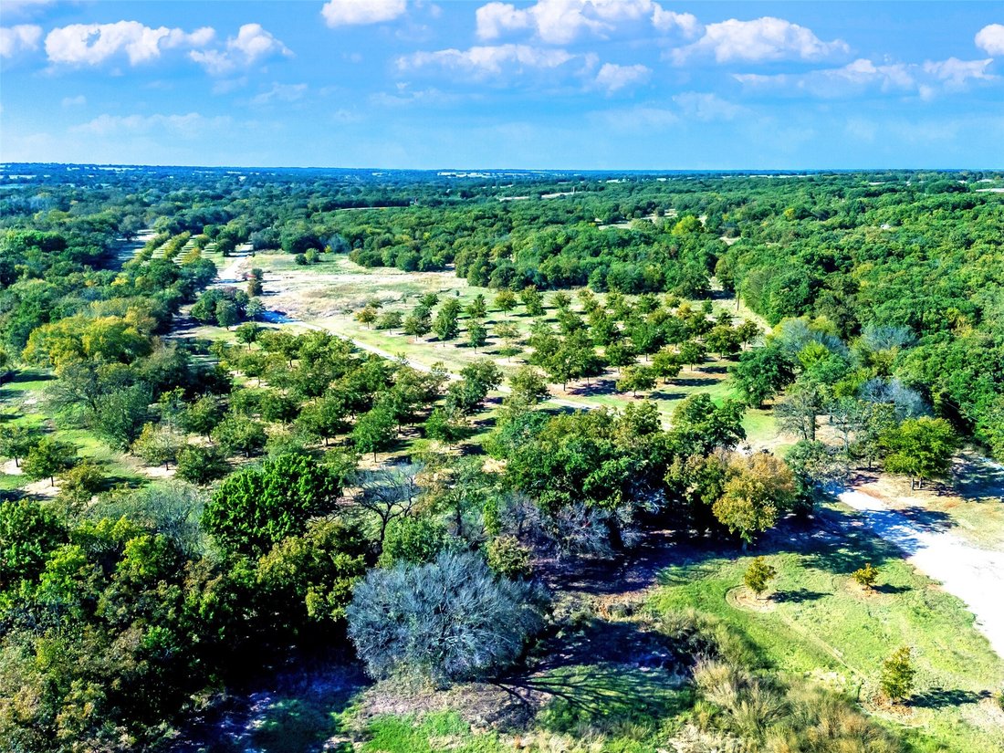 Azienda agricola a St. Jo, Texas, Stati Uniti 5 - 18414864