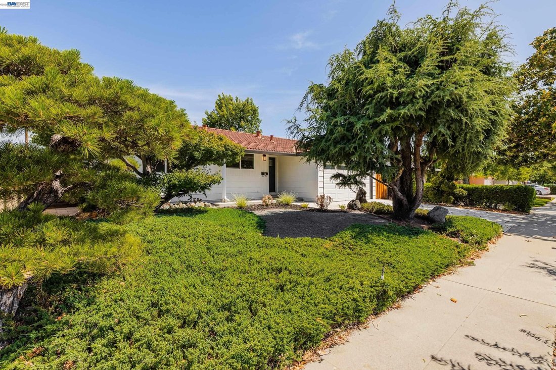 House in San Jose, California, United States 5 - 18410473