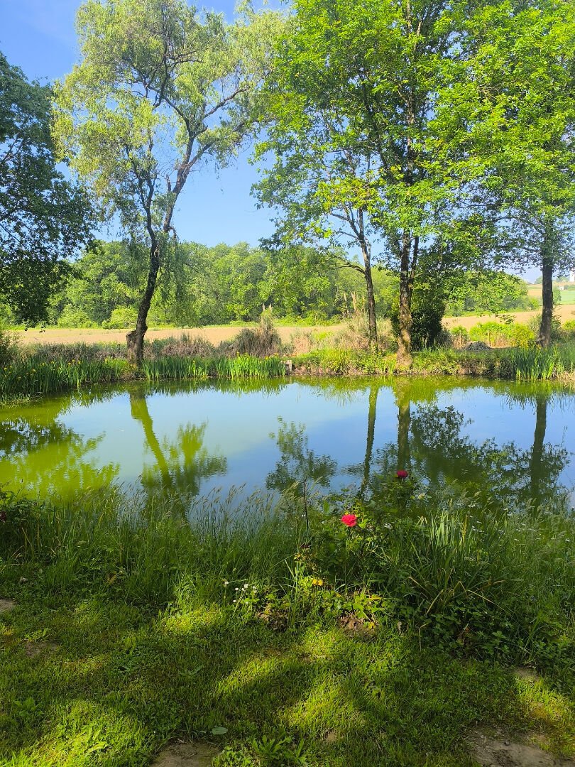 Villa in Sames, Nouvelle-Aquitaine, France 2 - 18414118