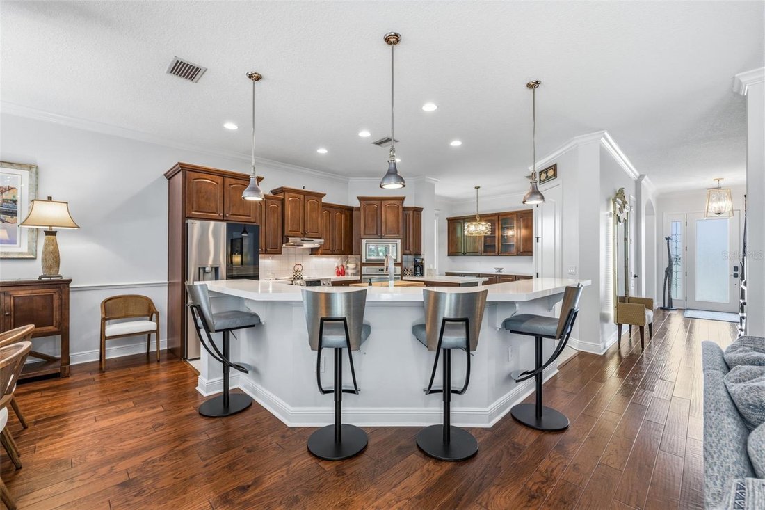 House in Tampa, Florida, United States 4 - 18408968