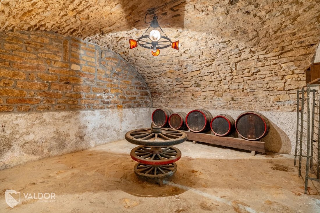 Estate in Liergues, Porte des Pierres Dorees, France 3 - 18413999