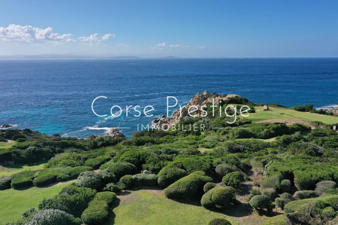 Villa in Bonifacio / Bunifaziu, Corsica, France 5 - 18163817