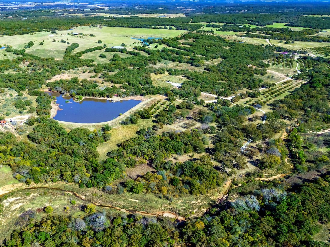 Azienda agricola a St. Jo, Texas, Stati Uniti 1 - 18414864
