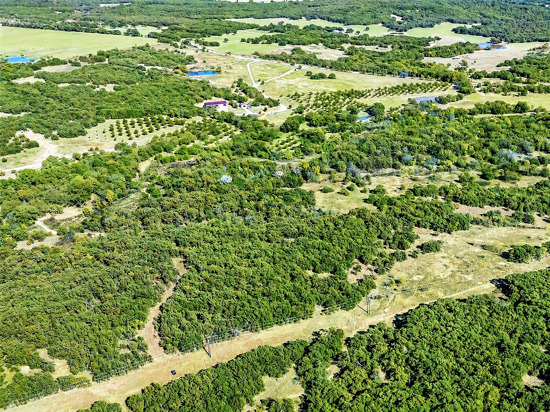 Azienda agricola a St. Jo, Texas, Stati Uniti 3 - 18414864