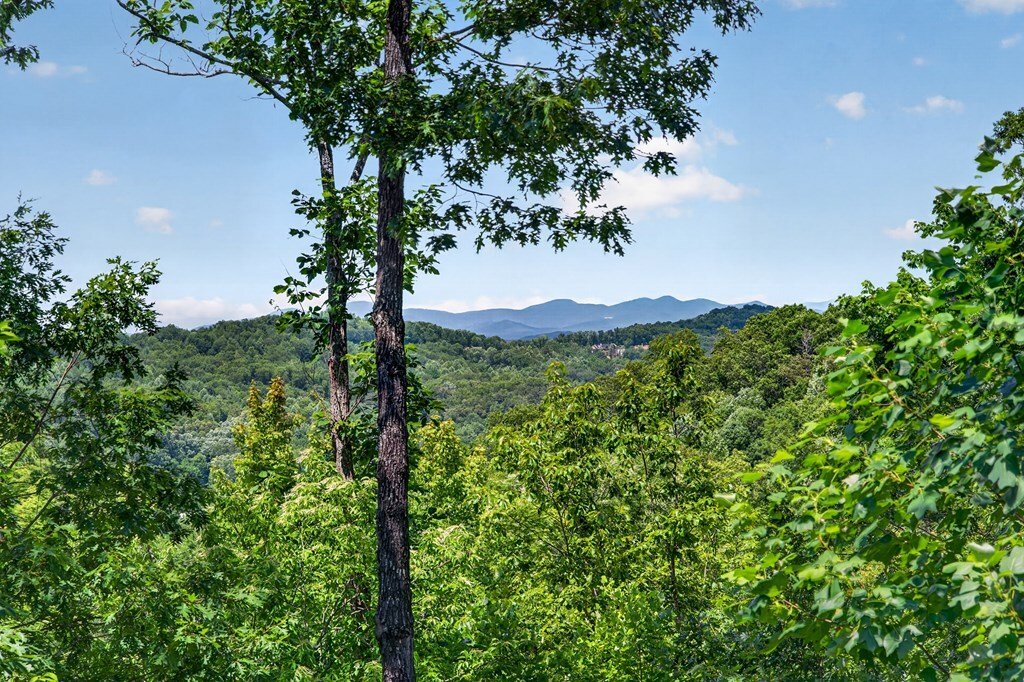 House in Blue Ridge, Georgia, United States 2 - 18416856