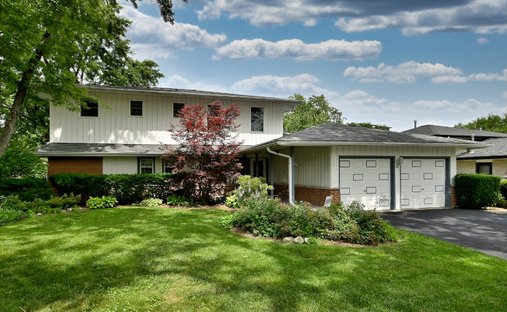 House in Elk Grove Village, Illinois, United States 1
