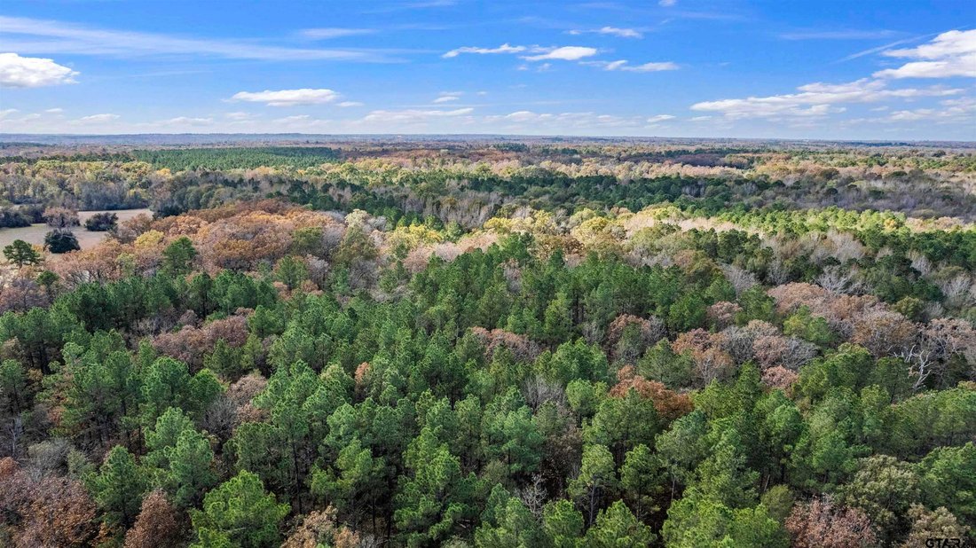 Land in Winnsboro, Texas, United States 3 - 18410539
