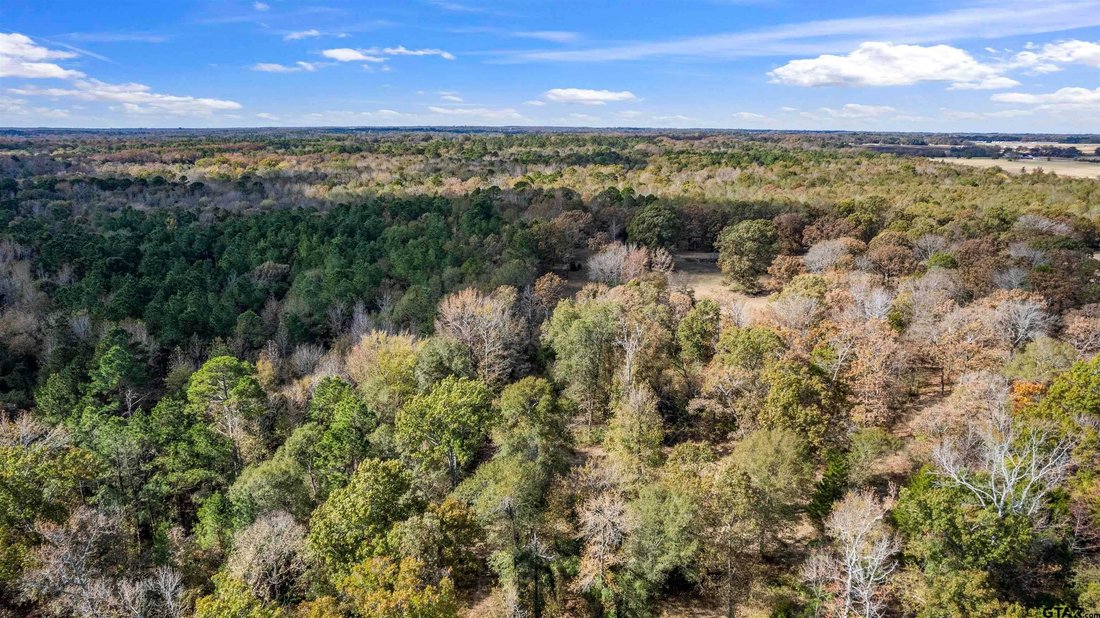 Land in Winnsboro, Texas, United States 2 - 18410539