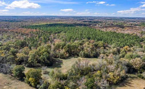 Land in Winnsboro, Texas, United States 1