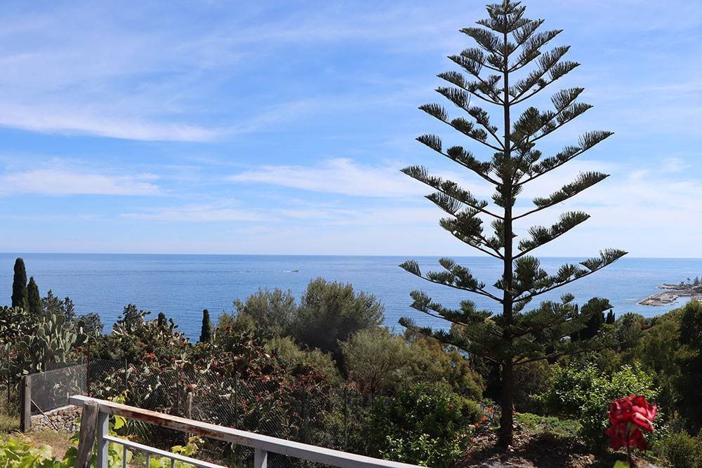 Villa in Bordighera, Liguria, Italy 5 - 18418469
