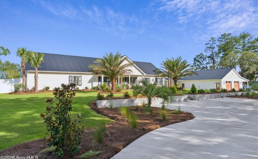 House in Barbour Island, Georgia, United States 1