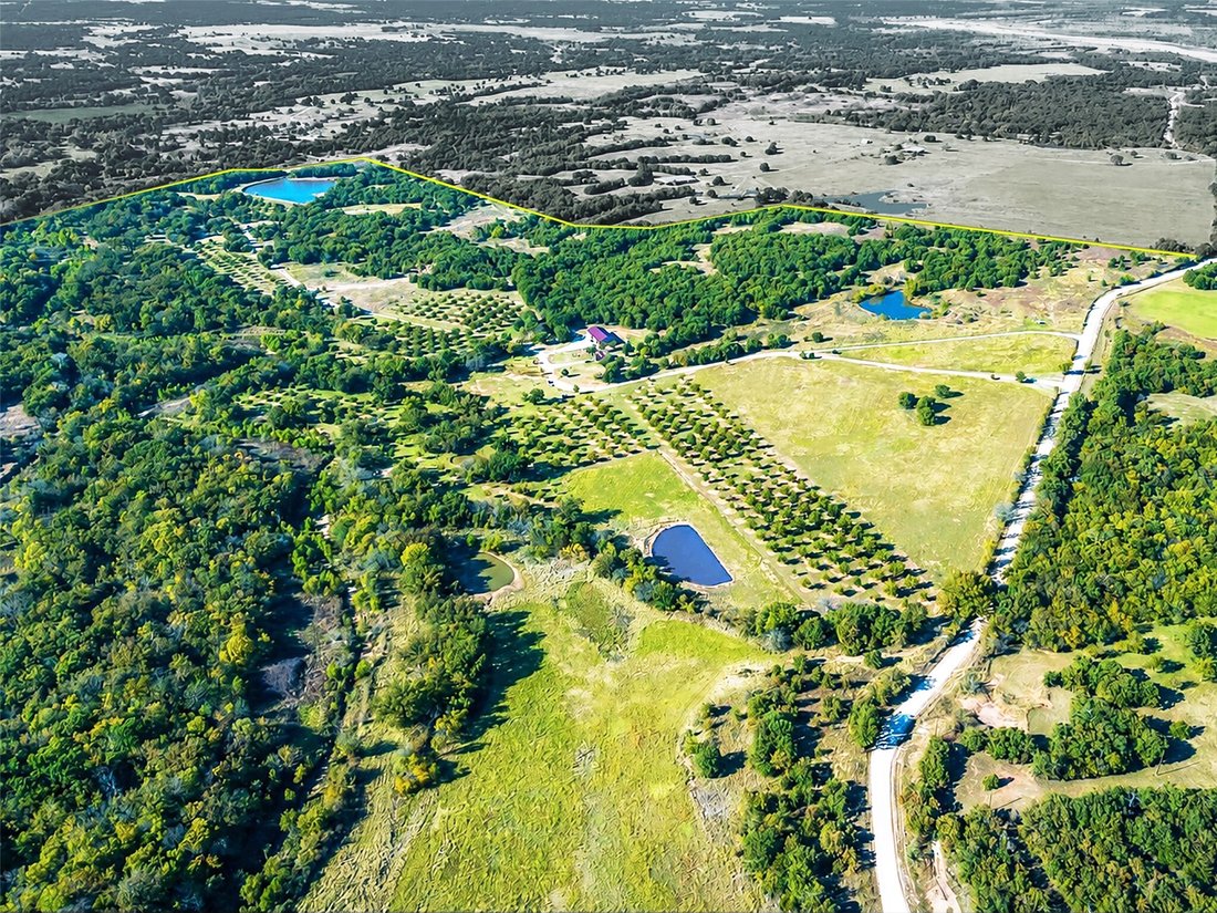 Azienda agricola a St. Jo, Texas, Stati Uniti 4 - 18414864